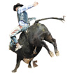 Bull rider